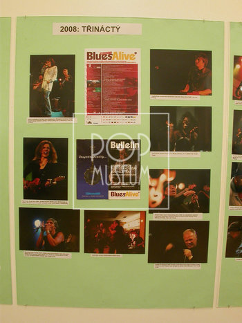 Výstava Blues Czech (& Slovak) Made
