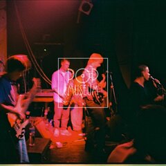 TRUTNOV OPEN AIR MUSIC FESTIVAL 1999 objektivem Miroslava Lédla 