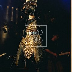 TRUTNOV OPEN AIR MUSIC FESTIVAL 2001 objektivem Miroslava Lédla