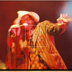 TRUTNOV OPEN AIR MUSIC FESTIVAL 2005 objektivem Miroslava Lédla