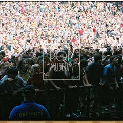 TRUTNOV OPEN AIR MUSIC FESTIVAL 2005 objektivem Miroslava Lédla