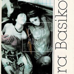 Titulní stránka knihy Báry Basikové, senzace knižního trhu toho roku.