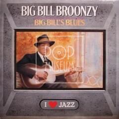 Big Bill Broonzy, 1989