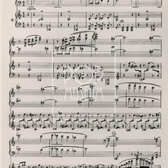 BURIAN, EMIL FRANTIŠEK (z pozůstalosti dr. Josefa Kotka)