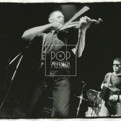 WHITE, ANDY & OYSTERBAND