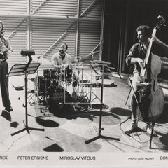 VITOUŠOVÉ, MIROSLAV & ALAN 