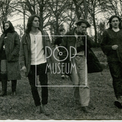 Houpací koně / f. Petr Mička