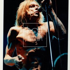 POP, IGGY