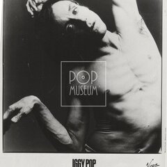 POP, IGGY
