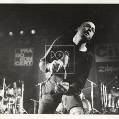 KURTIZÁNY Z 25. AVENUE kredity