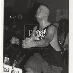 KURTIZÁNY Z 25. AVENUE kredity