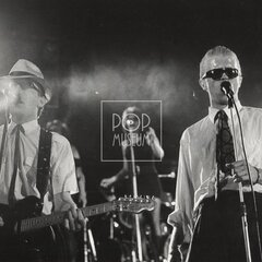 LAURA A JEJÍ TYGŘI