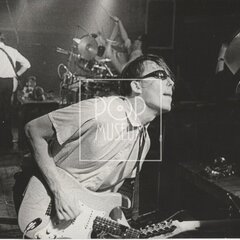 LAURA A JEJÍ TYGŘI