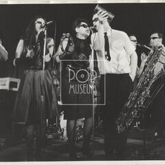 LAURA A JEJÍ TYGŘI