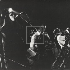 LAURA A JEJÍ TYGŘI