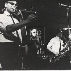 LAURA A JEJÍ TYGŘI