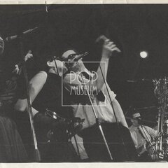 LAURA A JEJÍ TYGŘI