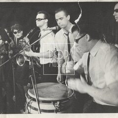 LAURA A JEJÍ TYGŘI