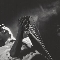 LAURA A JEJÍ TYGŘI