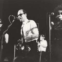 LAURA A JEJÍ TYGŘI