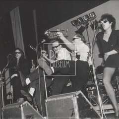 LAURA A JEJÍ TYGŘI