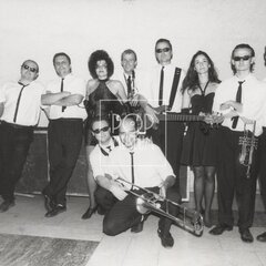 LAURA A JEJÍ TYGŘI