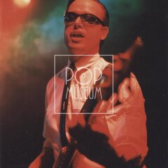 LAURA A JEJÍ TYGŘI