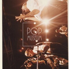 LAURA A JEJÍ TYGŘI