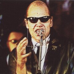 LAURA A JEJÍ TYGŘI