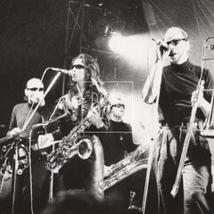 LAURA A JEJÍ TYGŘI