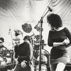 LAURA A JEJÍ TYGŘI