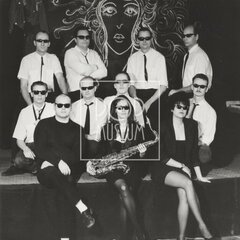 LAURA A JEJÍ TYGŘI