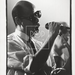 LAURA A JEJÍ TYGŘI