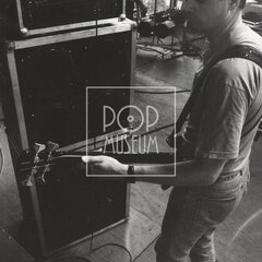 LAURA A JEJÍ TYGŘI