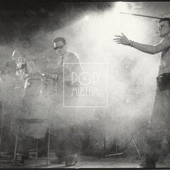 LAURA A JEJÍ TYGŘI