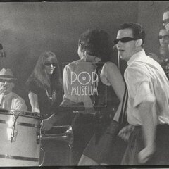 LAURA A JEJÍ TYGŘI