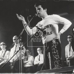 LAURA A JEJÍ TYGŘI