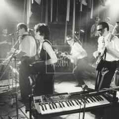 LAURA A JEJÍ TYGŘI