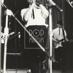 LAURA A JEJÍ TYGŘI