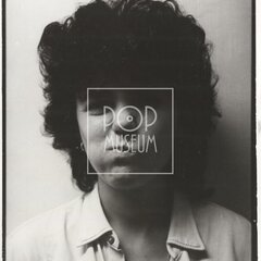 LAURA A JEJÍ TYGŘI