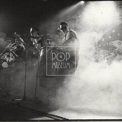 LAURA A JEJÍ TYGŘI