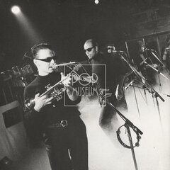 LAURA A JEJÍ TYGŘI