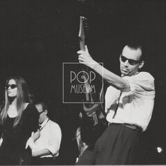 LAURA A JEJÍ TYGŘI