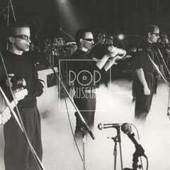 LAURA A JEJÍ TYGŘI