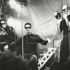 LAURA A JEJÍ TYGŘI