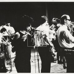 LAURA A JEJÍ TYGŘI