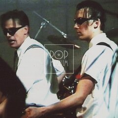 LAURA A JEJÍ TYGŘI