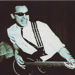 LAURA A JEJÍ TYGŘI