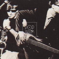 LAURA A JEJÍ TYGŘI