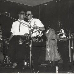 LAURA A JEJÍ TYGŘI